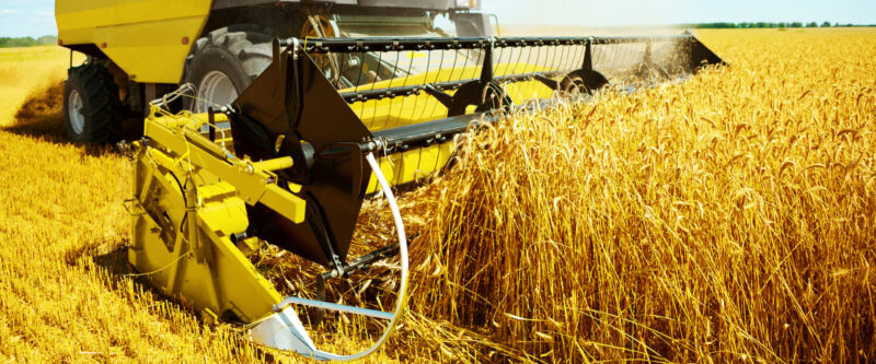 Potravinářství a zemědělství