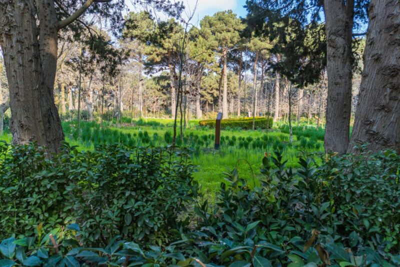 Změny v reportování ESG. Firmy nejčastěji narážejí na slabou metodiku a sběr dat